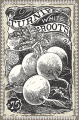 Vintage Greengrocer - Turnip Advertising
