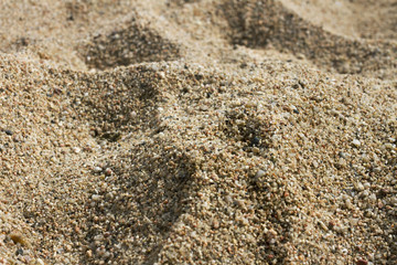Gross sand.