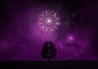 Zodiac signs tree silhouette