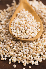 Barley groats on wooden spoon