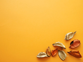 Vorlage Deko Bucheckern orange