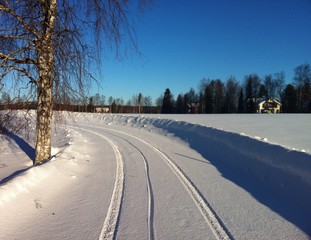 Fototapeta premium neige