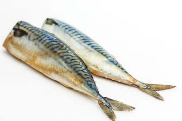 Mackerel Fish (Scomber scrombrus) over white background