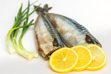 Mackerel Fish (Scomber scrombrus) over white background