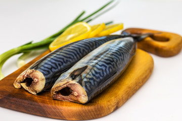 Mackerel Fish (Scomber scrombrus) over white background