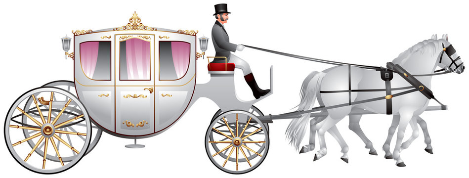 Carriage, horse-drawn white wedding crew