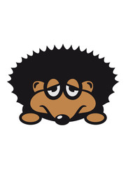 Naklejka premium Hedgehog nature sad