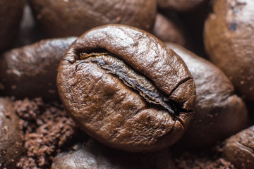 Closeup of coffee beans with focus on one