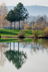 Bäume spiegeln sich im See