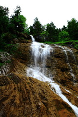 Fototapeta premium Wildbach an der Quelle