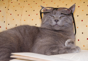 Leggere un libro