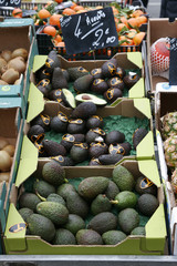 AVOCATS SUR UN ETAL DE MARCH&Eacute;