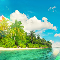 Fototapeta na wymiar Tropical island beach landscape with palm trees. Light leaks