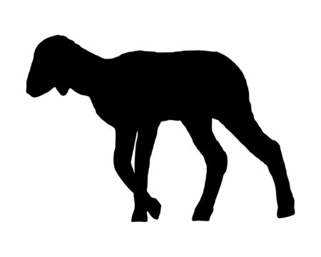 recommend clip art: Lamm