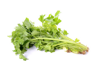 celery on white background