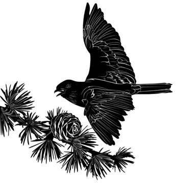 recommend clip art: bird