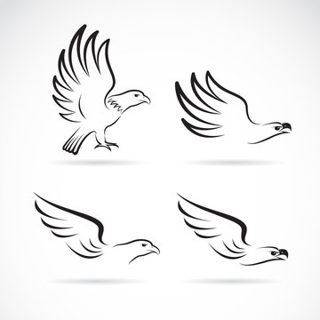 Vector image of an eagles design