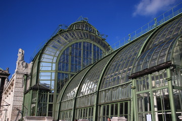 Fototapeta na wymiar Vienna Greenhouse in burggarten (close-up/2)