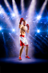 Professionl boxer is standing on the ring