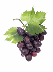 Grape cluster with leaves isolated