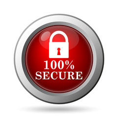 100 percent secure icon