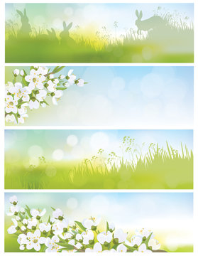 Vector spring banners, blossoming tree branch, nature background
