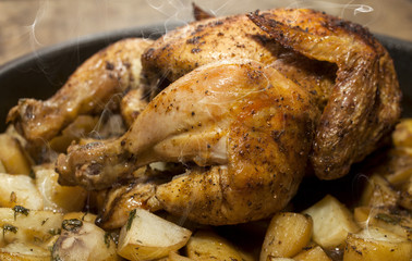 Chicken