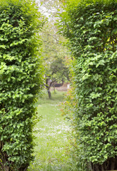 gateway made of quickset