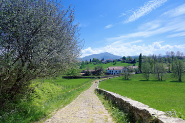 Fototapeta na wymiar sentier du pays basque et montagne de la Rhune