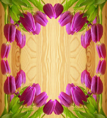 Pink tulips background.