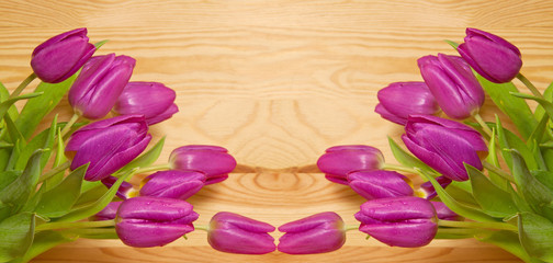 Pink tulips background.