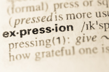 Dictionary definition of word expression