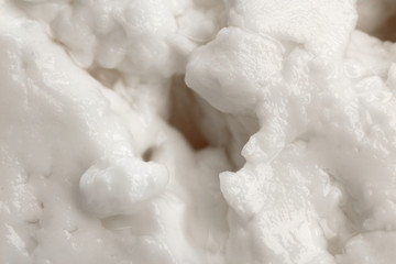 Tasty cheese close up