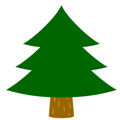 杉の木・もみの木