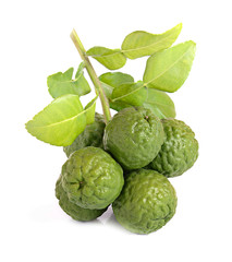 bergamot on white background