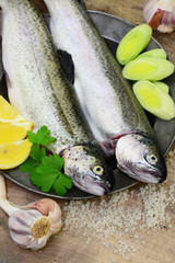 Fische