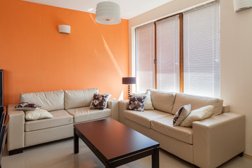 modern living room. interior