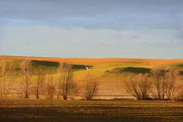 Fototapeta premium golden hills in the light of sunset
