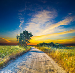 dirt road at sunset on a summer day
