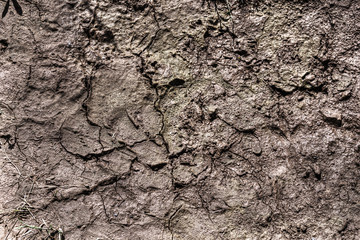 close up of dry soil in hdr