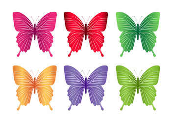 Set of Colorful Butterflies Isolated for Spring