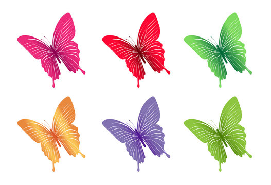 Set of Colorful Butterflies Isolated for Spring