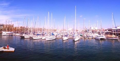 Fototapeta premium BCN