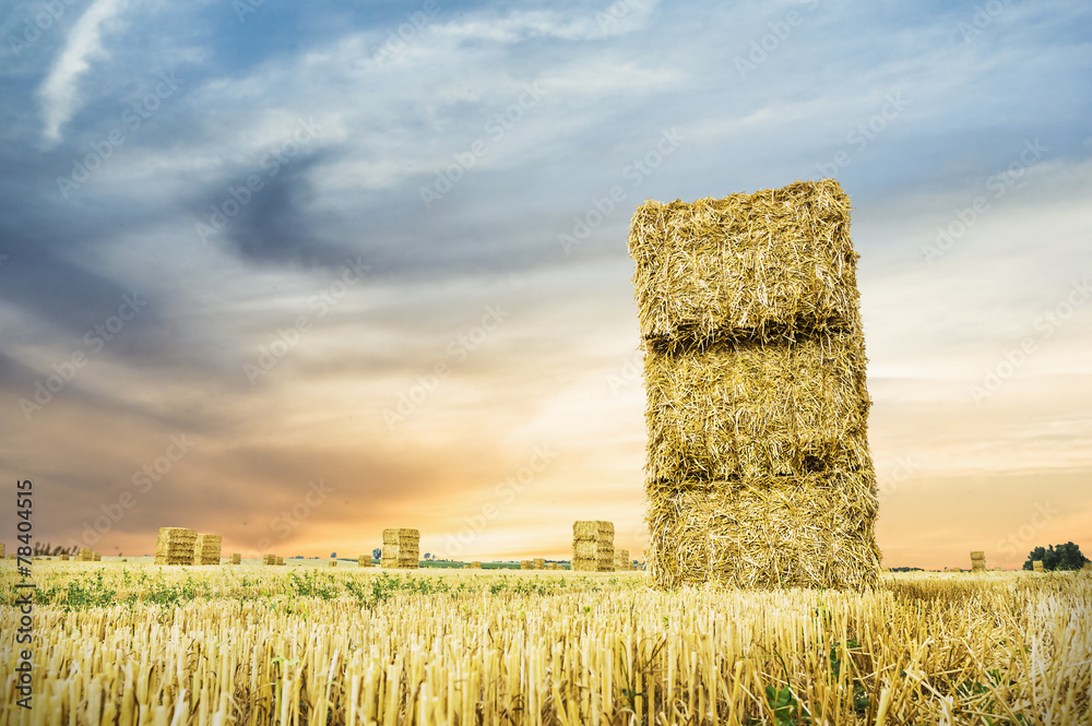 Wall mural straw bale in sunset light, landscape