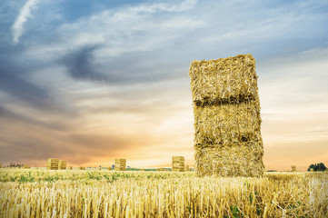 straw bale in sunset light, landscape