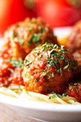 Spaghetti and Meatballs