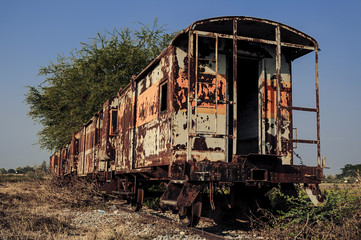 Fototapeta na wymiar Old train covery by plant and sky