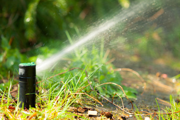Gardening. Lawn sprinkler spraying water over grass.