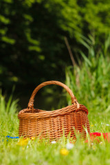 picnic basket on meadow in green grass