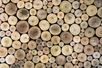 Fototapety  kawałki okrągłego pnia drewna tekowego w tle